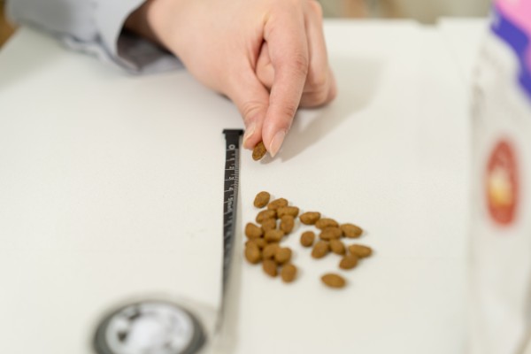 ドッグフード検証、粒度