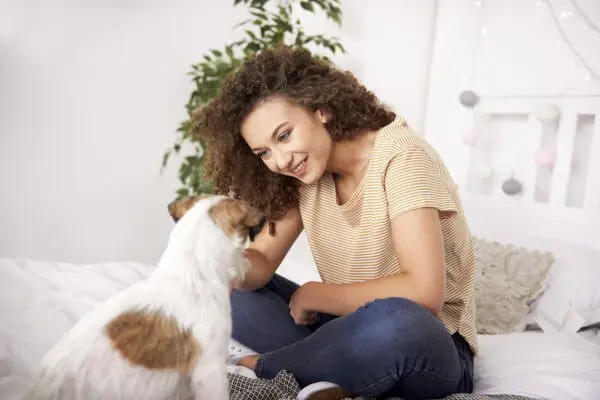 年調査 外国語のおしゃれな犬の名前ランキング 海外セレブの犬の名前やトレンドを調査 Inunavi いぬなび