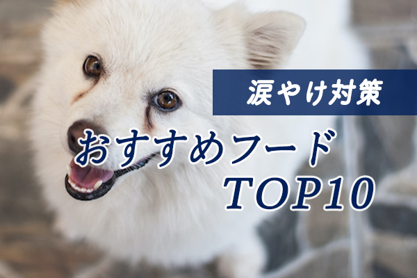 【獣医師監修】涙やけ対策に最適なドッグフードおすすめランキング10選