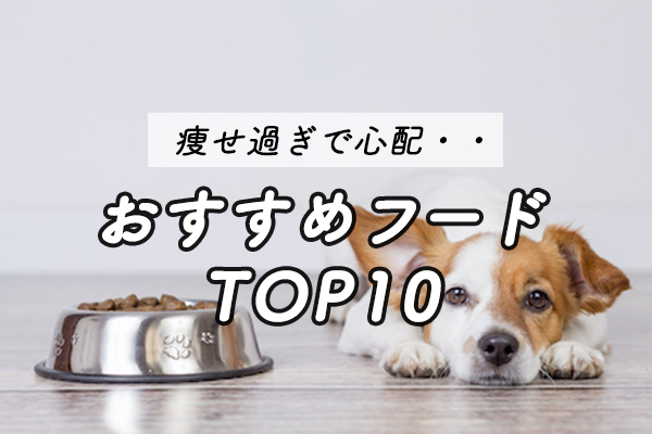 【獣医師監修】痩せすぎ対策ドッグフードおすすめ人気ランキング10選