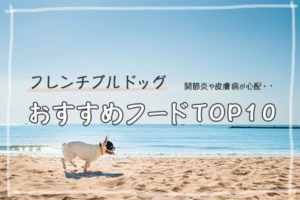 【獣医監修】フレンチブルドッグ向きのドッグフードおすすめ10選【2023年最新版】