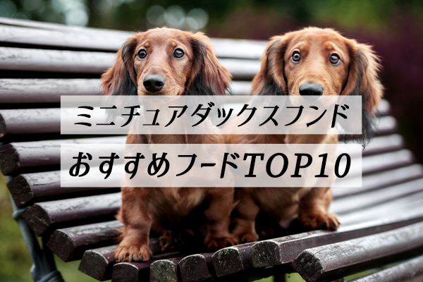 【獣医師監修】ミニチュアダックスフンドにおすすめのドッグフード人気ランキング10選