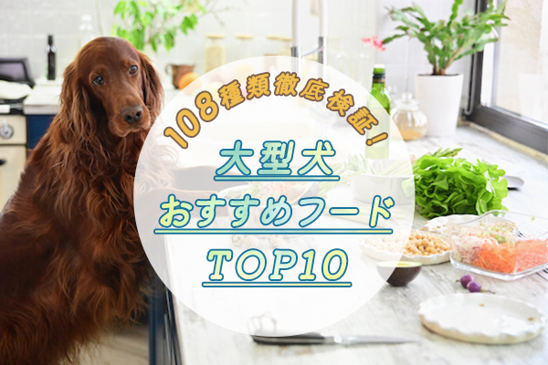 【獣医師監修】大型犬のおすすめドッグフード人気ランキング10選｜意外とデリケート！？【108種類を徹底検証】