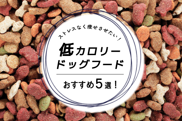 獣医師監修 ダイエットドッグフードおすすめランキング 肥満に効果的な低カロリー5選 21年最新版 Inunavi いぬなび