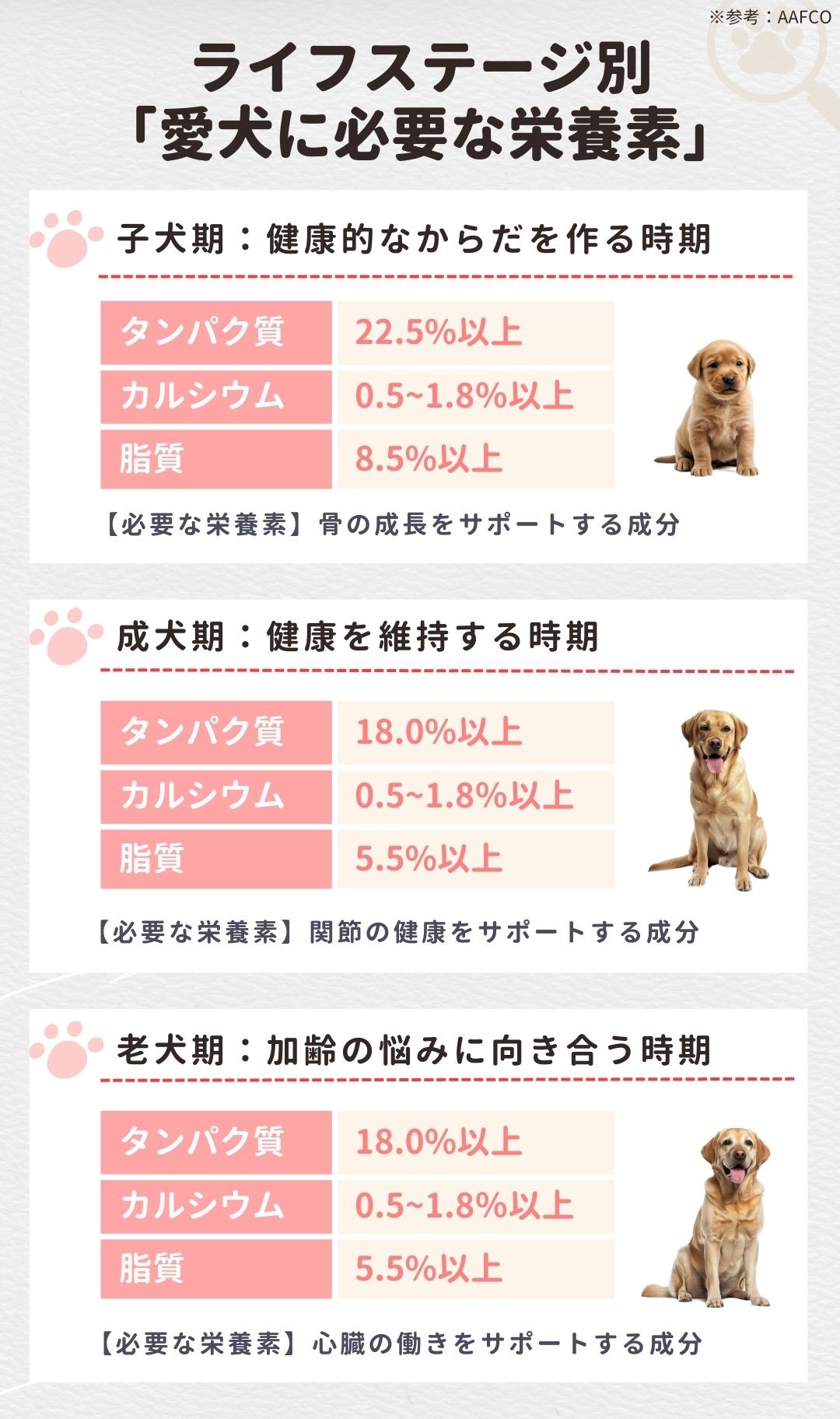 ライフステージや愛犬の運動量に合わせたフードを選ぼう