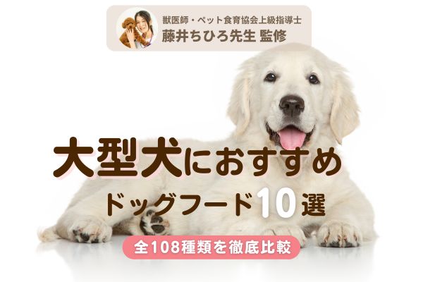 【獣医師監修】大型犬におすすめのドッグフード人気ランキング10選！意外とデリケート！？【108種類を徹底検証】