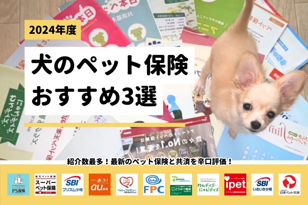 【全18社比較】犬のペット保険おすすめ3選