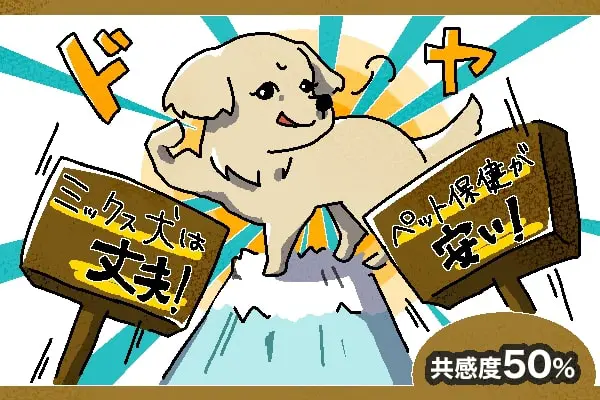 ミックス犬あるある 愛が強すぎる飼い主50人に聞いた 共感度がハンパない Inunavi いぬなび ミックス犬あるある 愛が強すぎる飼い主50人に聞いた 共感度がハンパない Inunavi いぬなび