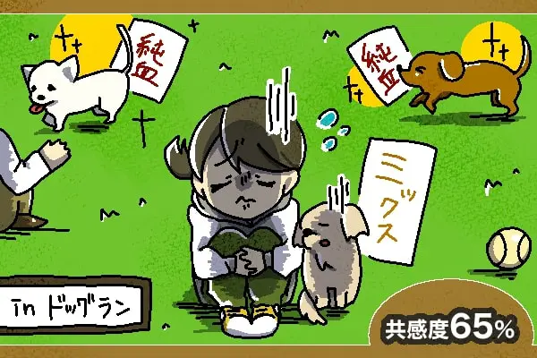 ミックス犬あるある 愛が強すぎる飼い主50人に聞いた 共感度がハンパない Inunavi いぬなび ミックス犬あるある 愛が強すぎる飼い主50人に聞いた 共感度がハンパない Inunavi いぬなび
