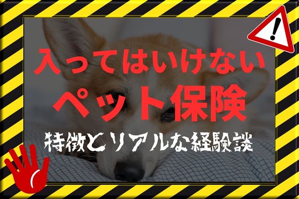入ってはいけないペット保険とは 最悪な保険を見分ける7つの特徴 Inunavi いぬなび