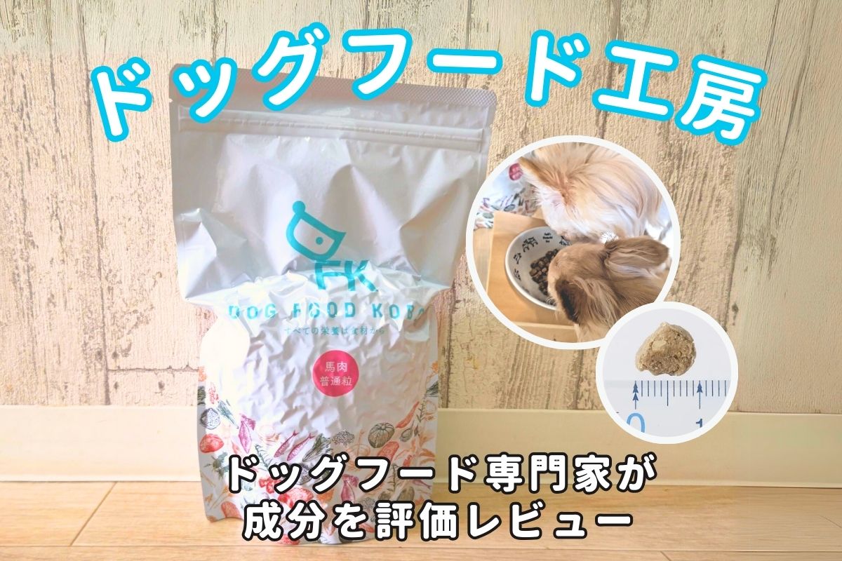 カノくんのご飯は使用済み （初めてのパスタ - あったかご飯の会 成増）