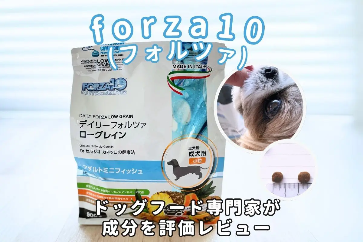 forza10(フォルツァ)の口コミ評判・安全性を徹底検証｜獣医師や飼い主 
