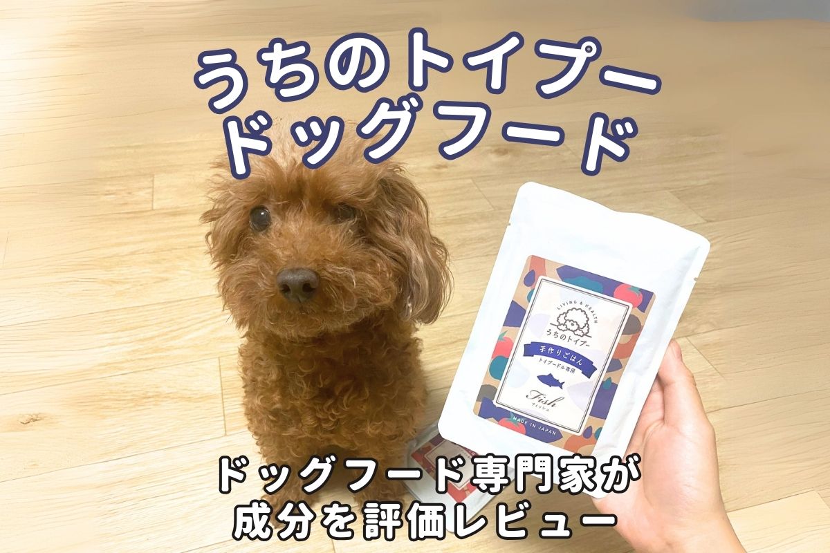 うちのトイプーの口コミ評判は？トイプードル専用ドッグフードの安全性 