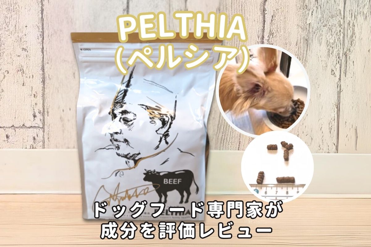 ペルシア(PELTHIA)ドッグフードの口コミ評判・評価や安全性を徹底調査