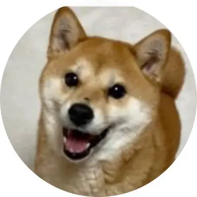 @onienna_shibainu_4catsさん