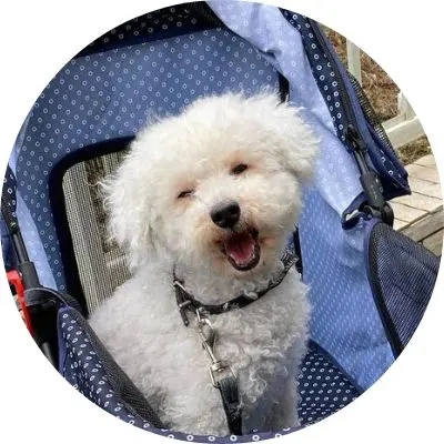 @cookie.jack.loveさん