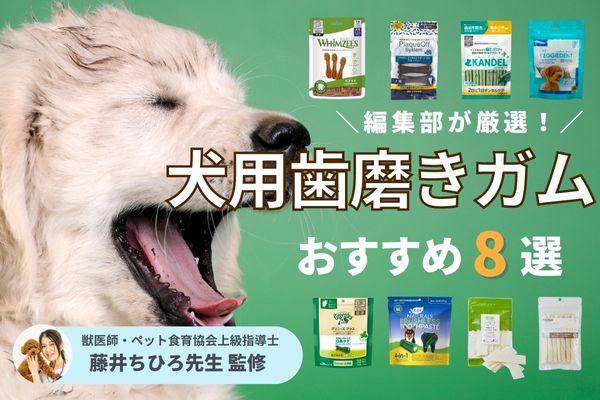【口臭・歯石に】犬用歯磨きガムおすすめランキング8選！安全で効果的な与え方も紹介