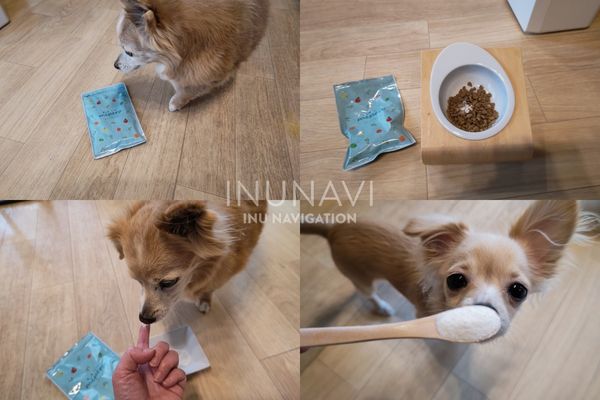 CLEAN WAN 犬猫ちゃん用口腔ジェル15g 3本セット 【お試し価格