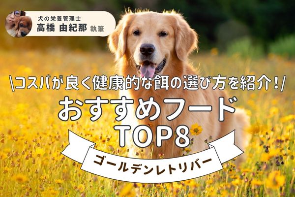 ゴールデンレトリバー向けドッグフード(餌)おすすめ人気ランキング8選【専門家が厳選】