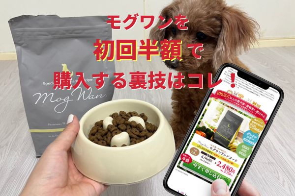 モグワンを初回半額2,728円で購入する裏技！レビューあり