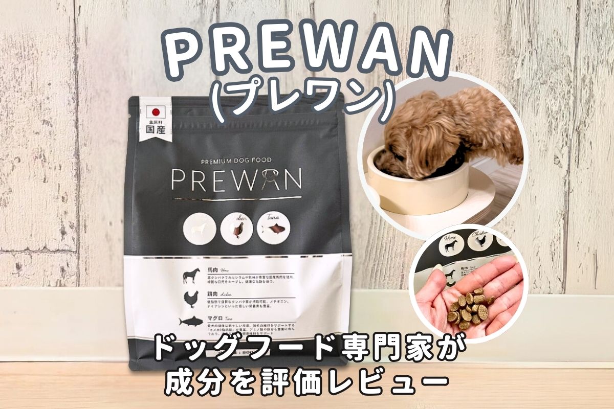 PREWAN （プレワン）ドッグフードの口コミ評判は？原材料・成分の安全性や食いつきを調査！