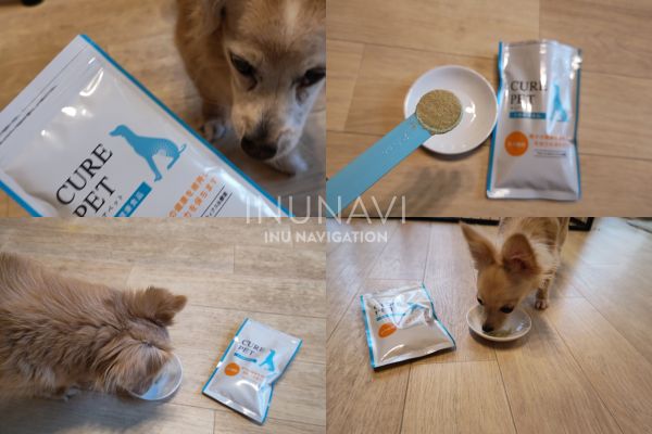 LovelyB ラブリービー 3袋 歯ブラシ付き LovelyB ラブリービー 3袋 歯ブラシ付き