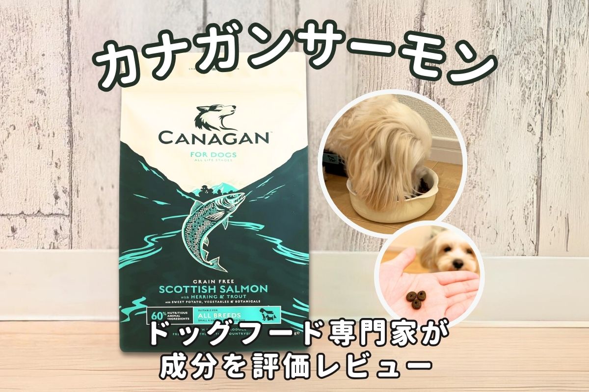 カナガンサーモンの口コミ評判は？犬の管理栄養士の評価や実際に与えて食いつきを検証！