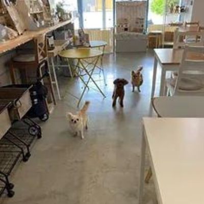 保護犬のいるドッグカフェゼロ　大阪の犬と触れ合えるカフェ（3）