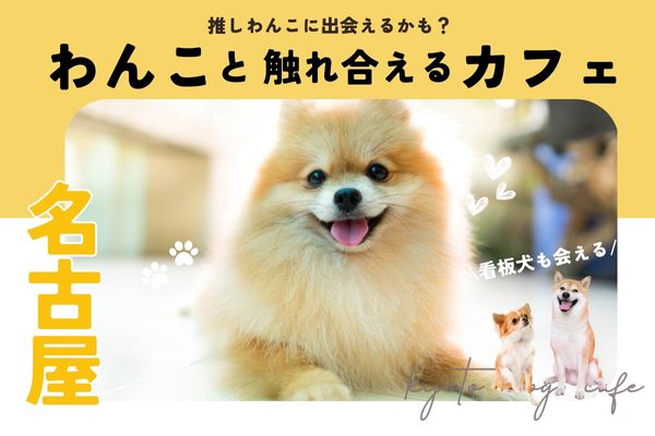 【名古屋】犬と触れ合える人気犬カフェ5選｜名物柴犬店や保護犬も【2024年最新】
