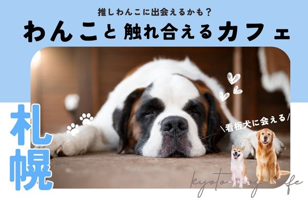 【札幌】犬と触れ合える人気犬カフェ9選｜人気大型犬の看板犬がいるお店も【2024年最新】
