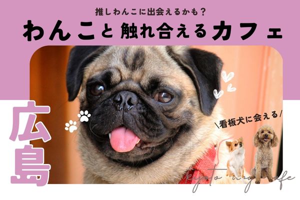【広島】犬と触れ合える人気犬カフェ10選｜大型犬やパグの看板犬がいる店も【2024年最新】