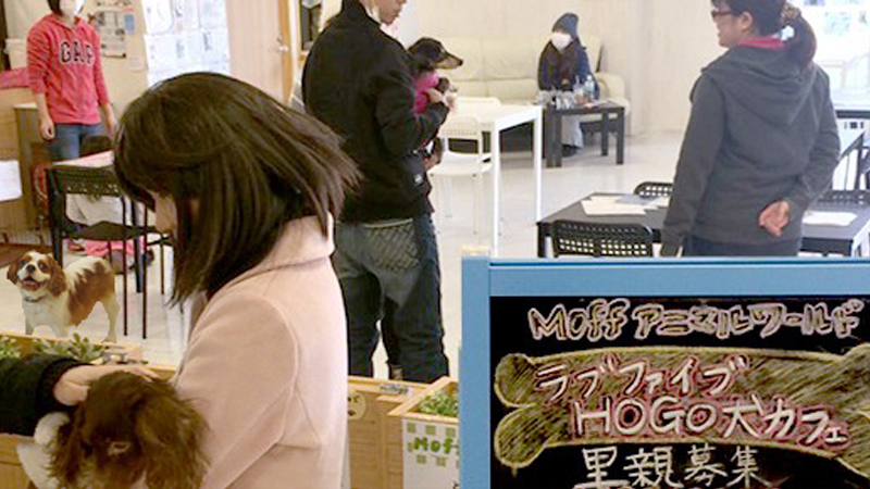 HOGOKEN CAFE 印西店　千葉の犬と触れ合えるカフェ