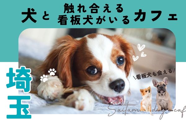 【埼玉】犬と触れ合える・看板犬がいる人気犬カフェや施設9選