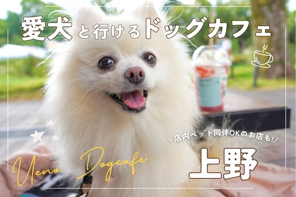 【上野】愛犬と楽しむドッグカフェ9選｜店内同伴OKのお店も【2024年最新】
