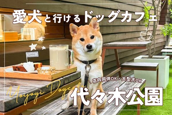 【代々木公園】愛犬と楽しむドッグカフェ22選｜大型犬・店内同伴OKのお店も【2024年最新】
