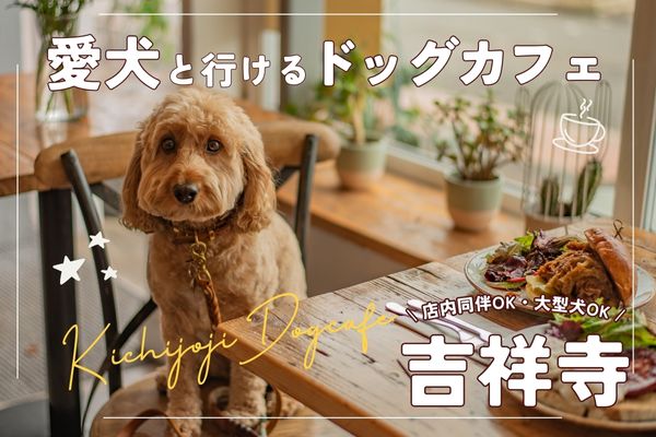 ワンちゃんカクテル お問い合わせ窓口 （吉祥寺】愛犬と楽しむドッグ  