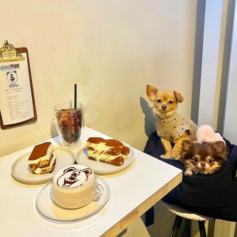 【Ryumon coffee stand（リュモンコーヒースタンド）】＠mu.gi.cha_（むぎ茶🍵ラムネ🍹）吉祥寺のペット同伴OKなドッグカフェ
