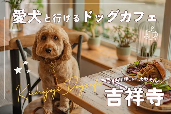 【吉祥寺】愛犬と楽しむドッグカフェ19選｜大型犬・店内同伴OKのお店も【2024年最新】