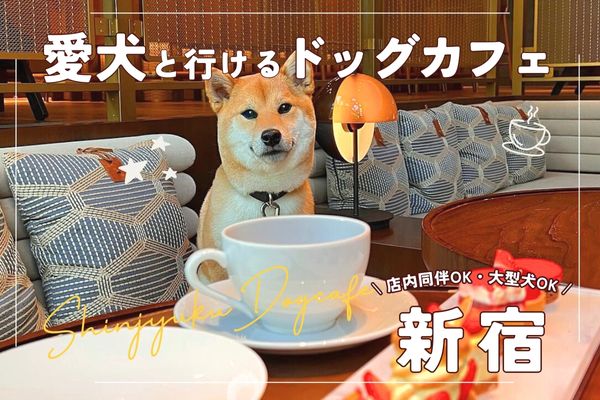 【新宿】愛犬と楽しむドッグカフェ20選｜大型犬・店内同伴OKのお店も【2024年最新】