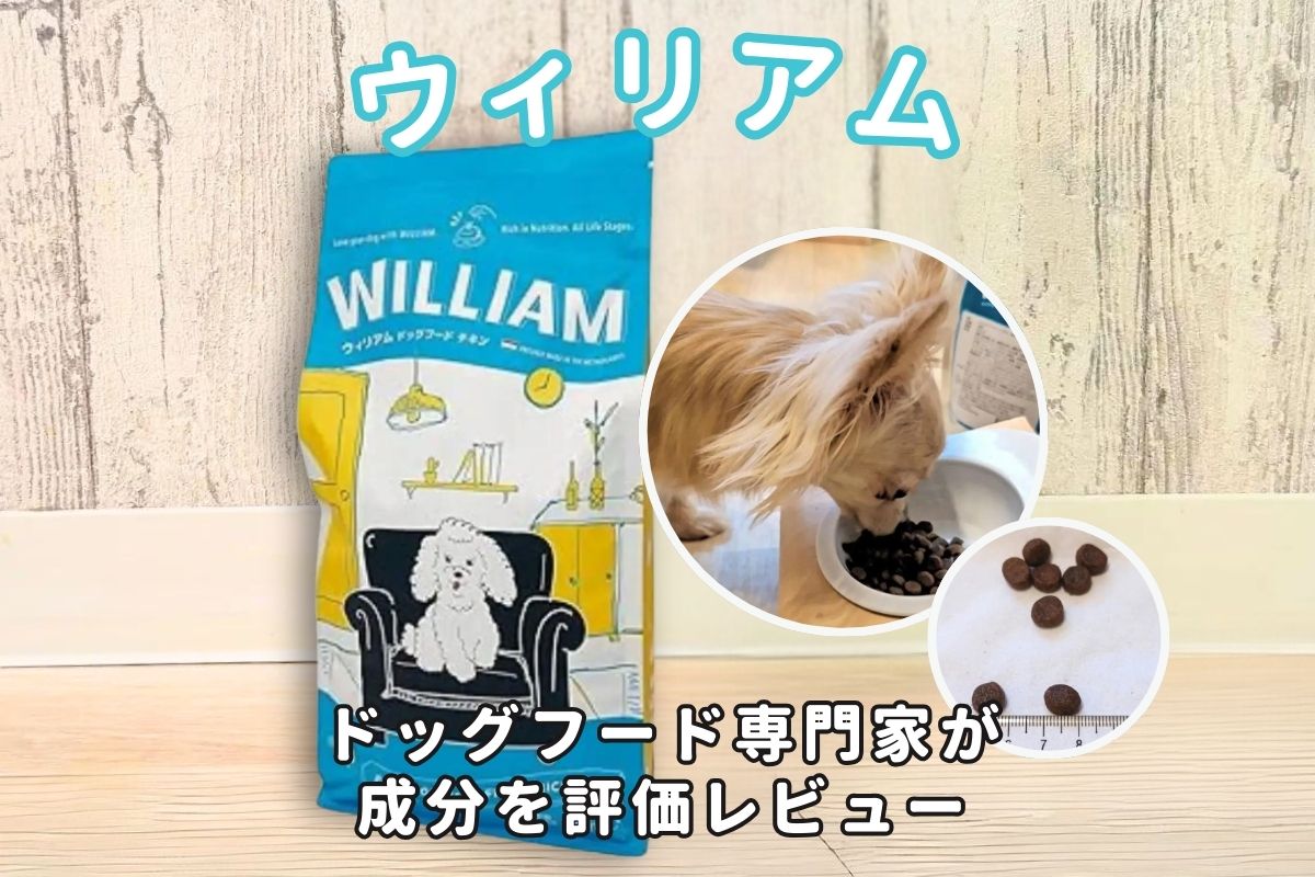 価格見直し】WILLIAM ドッグフード4袋 71lioQ644pS._AC_UF894,