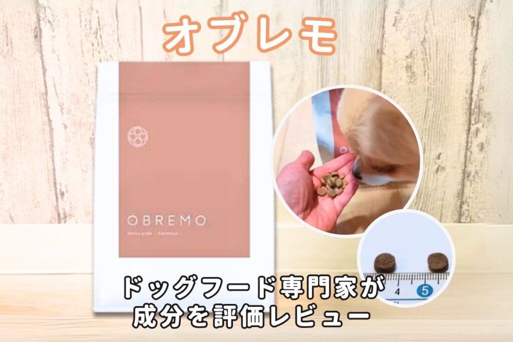 OBREMO(オブレモ)ドッグフードの口コミ評判！愛犬レビューと専門家評価で検証