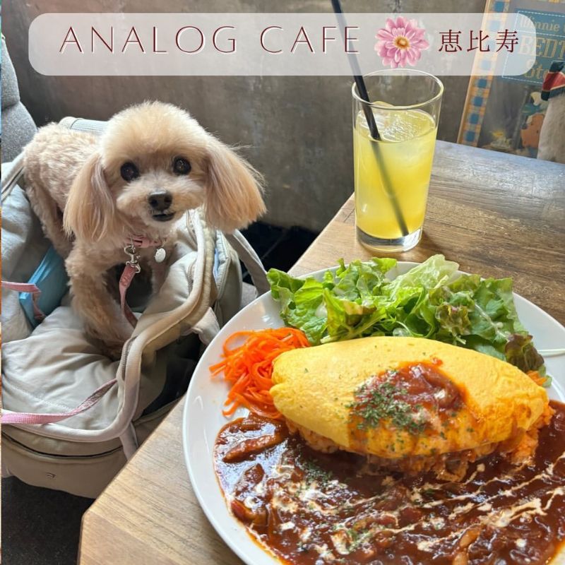 【アナログ-カフェ-ラウンジ-トーキョー-ANALOG-CAFE-_-LOUNGE-TOKYO】＠miumama0622（miutan）恵比寿のペット同伴OKなドッグカフェ