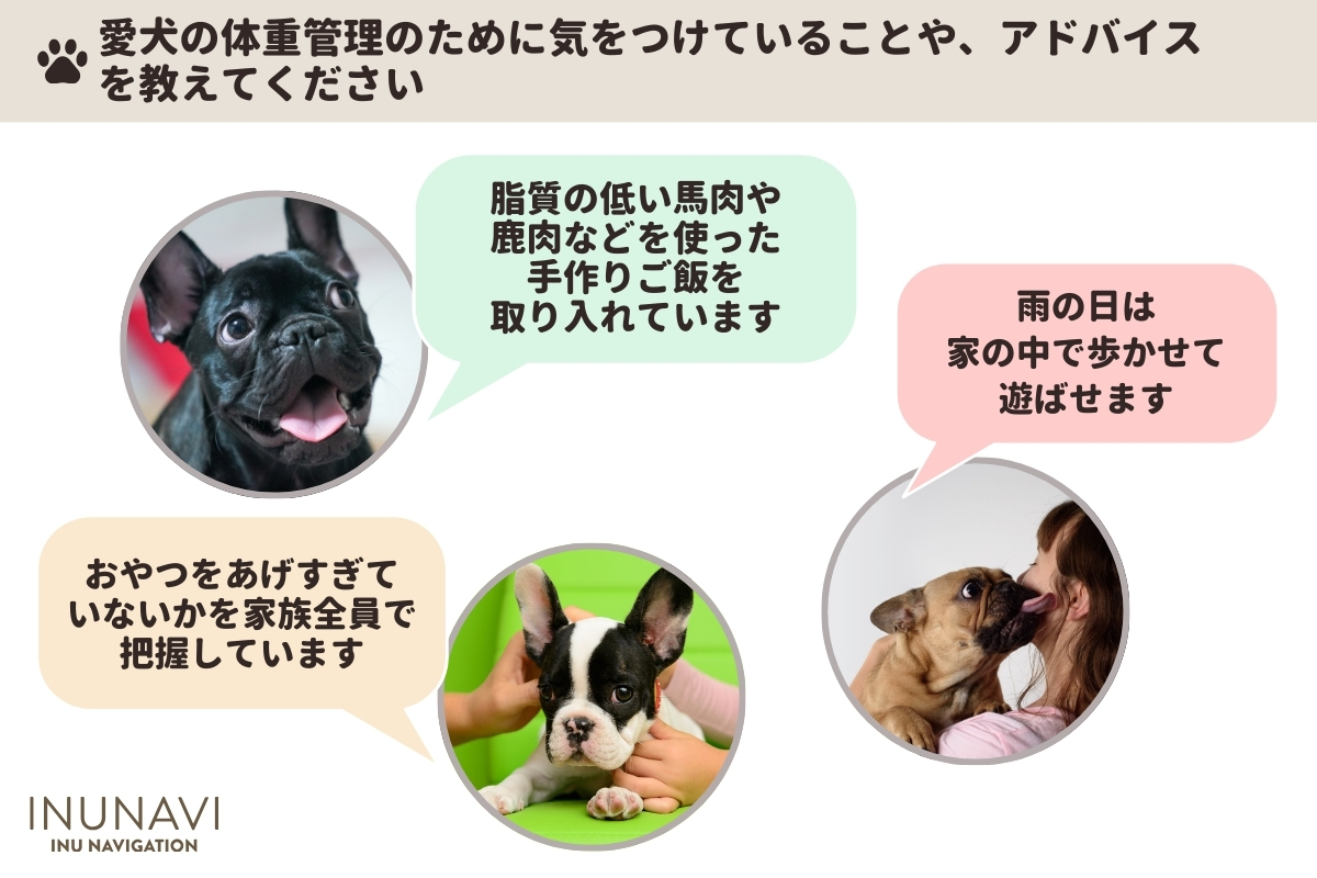 【フレンチブルドックの体重アンケート集計】愛犬の体重管理のために気をつけていることや、アドバイス を教えてください