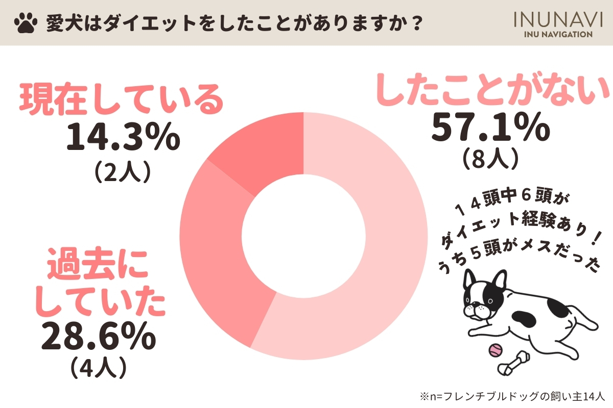 【フレンチブルドックの体重アンケート集計】愛犬はダイエットをしたことがありますか？