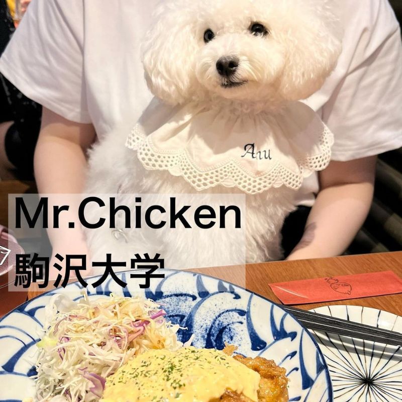 【ミスターチキン-（Mr.-Chicken）】＠amu.poo（🤍あむAmu🤍）駒沢公園のペット同伴OKなドッグカフェ