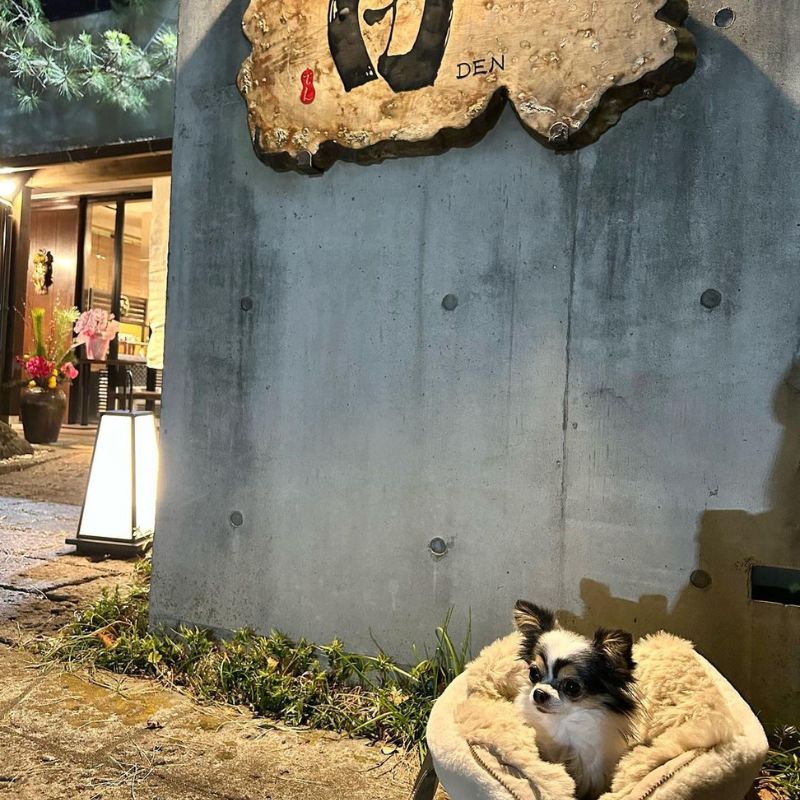 【創作和食-田】＠kojiro_miiko（コジローミイコ）駒沢公園のペット同伴OKなドッグカフェ