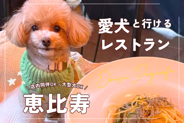 【恵比寿レストラン】愛犬と優雅に楽しめるおすすめ12選｜駅近15分【2024年最新】