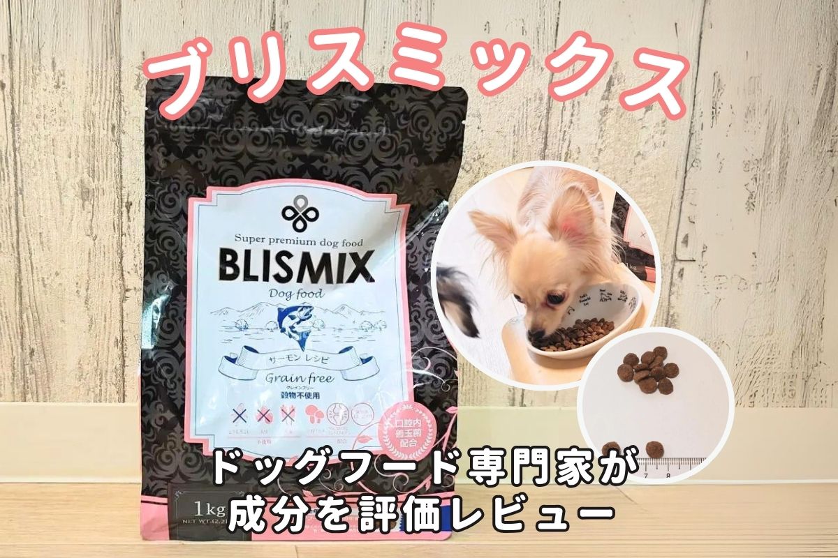 ブリスミックス グレインフリー 穀物不使用 サーモンレシピ 15kg おこす