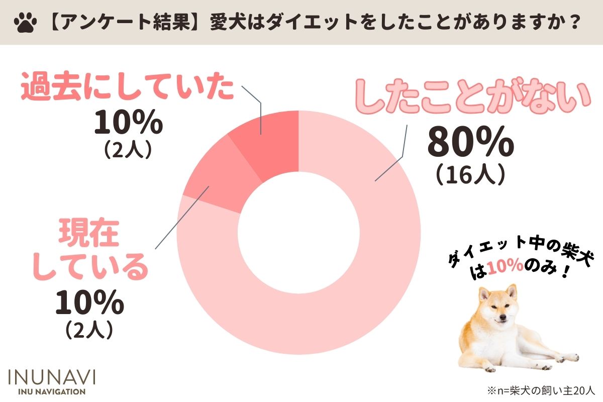 獣医師監修】柴犬・豆柴の適正体重は何キロ？ダイエット方法やご飯の量をアンケート調査！ | INUNAVI（いぬなび）