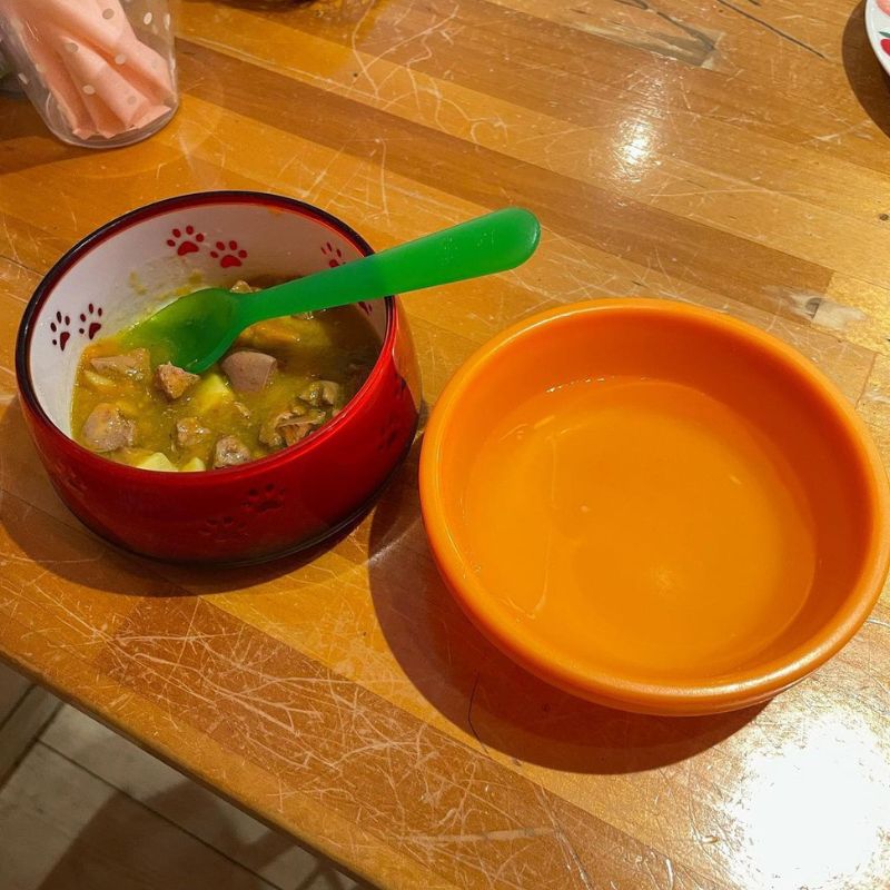 【ドッグカフェWasabee（ワサビー）】＠gizmo201228（☻ギズモキャスパー☻）大阪のペット同伴OKなドッグカフェ